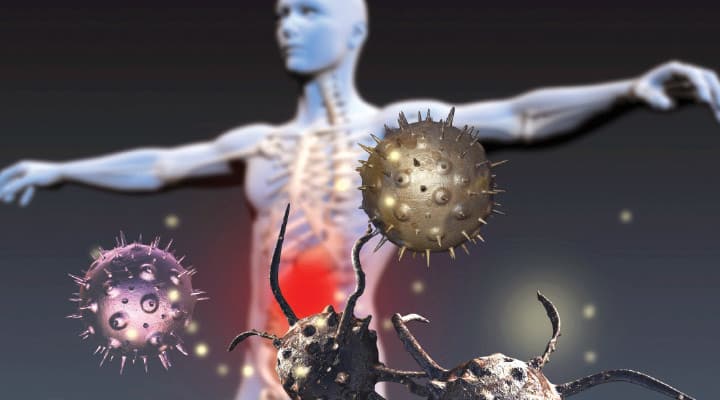 Various viruses attracted due to immune senescence