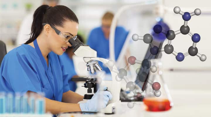 Woman scientist examining AMPK structure for the body’s health