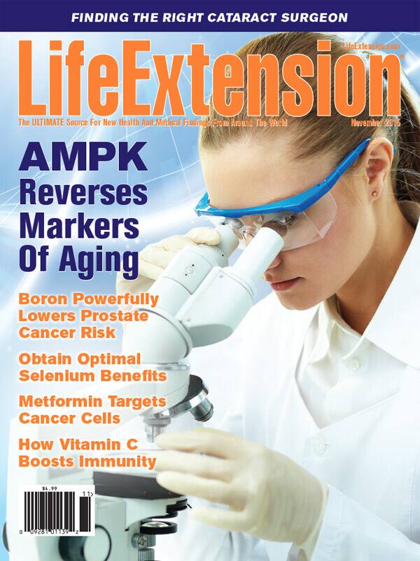 Magazine Cover November 2015