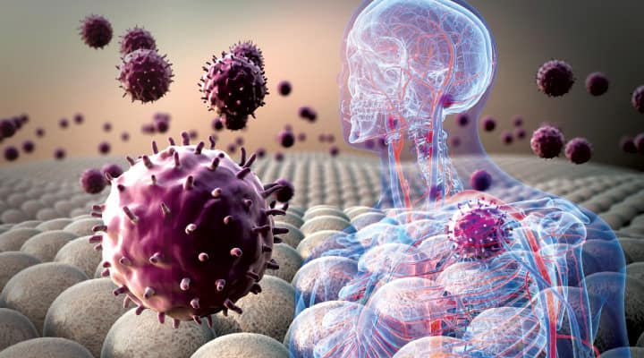 Senescence cells causing inflammation in organ tissue