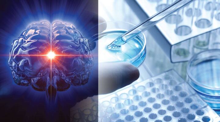 Lab studying effects of lithium on aging brain and cogitation