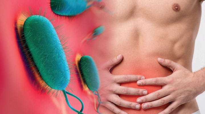 H. pylori bacterium being suppressed by zinc-carnosine