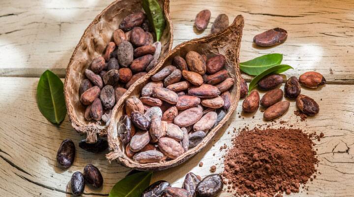 Cocoa bean that mixed with spearmint can provide better concentration