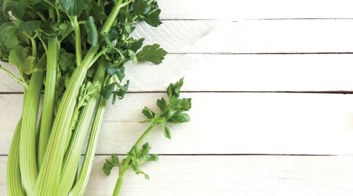 Bunch of celery rich in fiber and minerals like iron