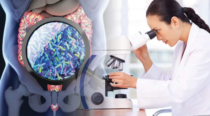 Magnified image of bifidobacteria for health with scientist studying