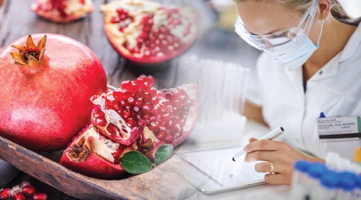 Pomegranate Benefits : स्वास्थ्य का राज़, जाने अनार के अनोखे फायदे 5 Pomegranate Benefits
