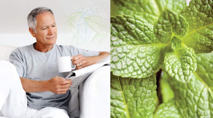 Man drinking spearmint tea with a sprig for better focus