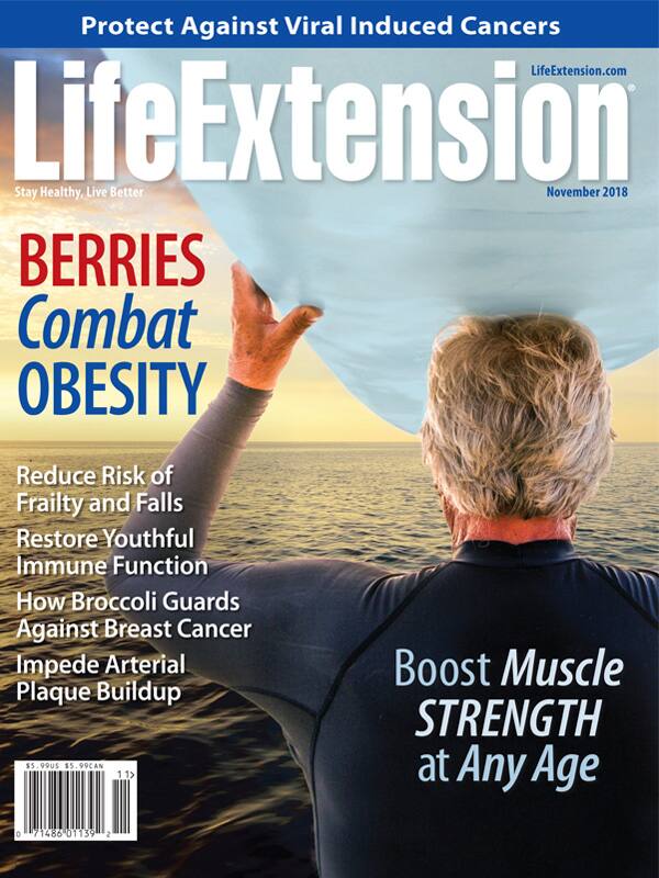 Magazine Cover November 2018