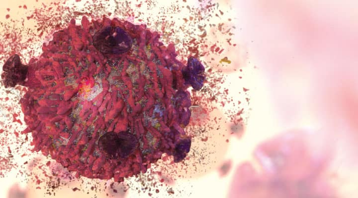 Senescent cell secreting inflammatory properties