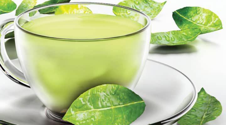 Cup of green tea rich in catechins that combat age-related diseases