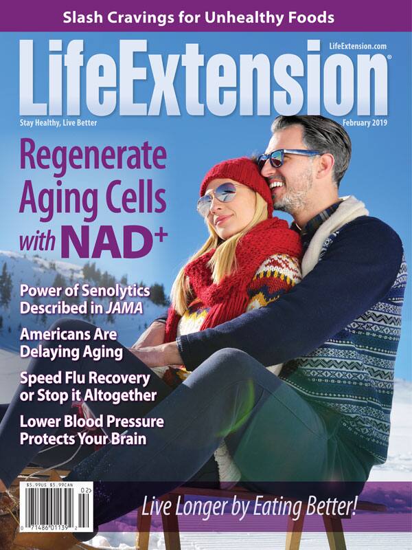 Magazine Cover February 2019