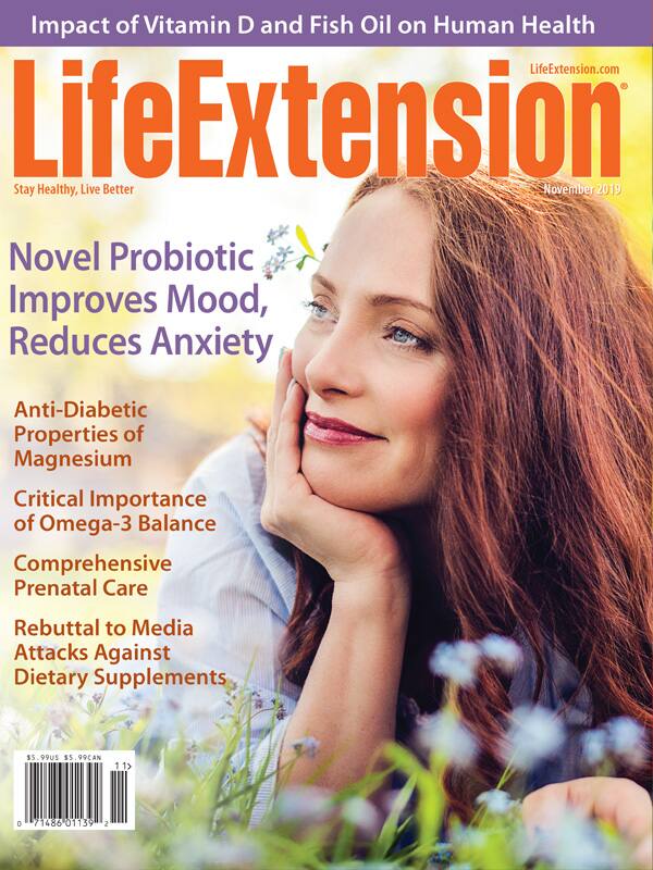 Magazine Cover November 2019