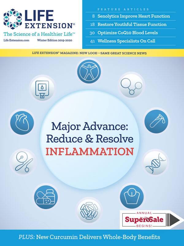 Magazine Cover Special Winter Edition 2019 