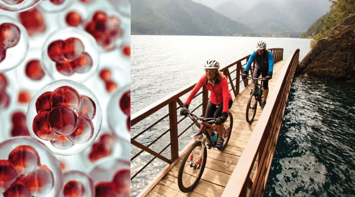 Man and woman riding bikes for stimulating autophagy