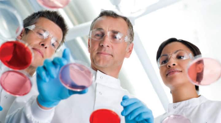 Three scientists studying an approach to remove senescent cells