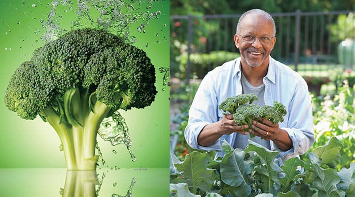 Broccoli Solution Health Benefits Of Broccoli Compounds - Life Extension
