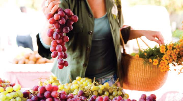 Woman picking grapes that contain beneficial resveratrol