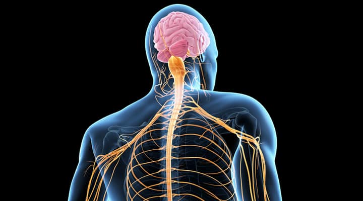 Amyotrophic Lateral Sclerosis | ALS - Life Extension