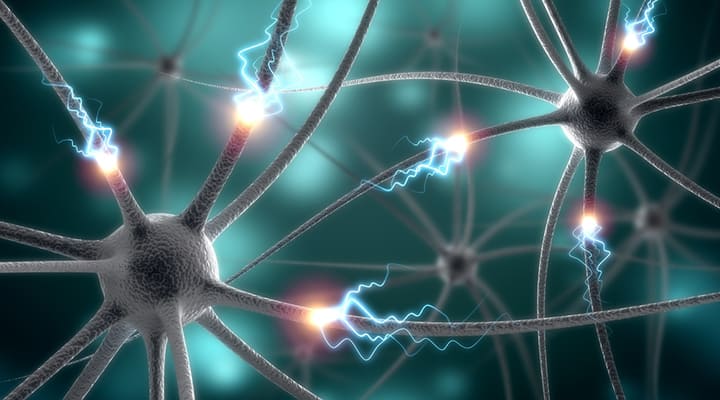 Epilepsy - Life Extension Epilepsy - Life Extension
