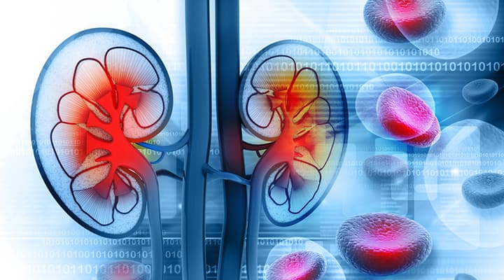 Diagram of a pair of kidneys showing proper kidney health