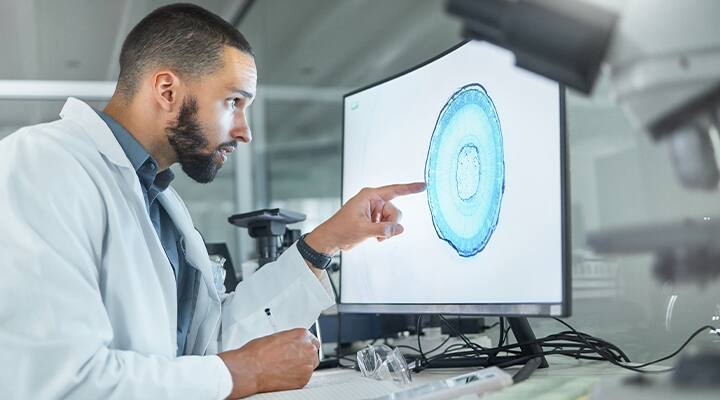 Scientist analyzing image of cell