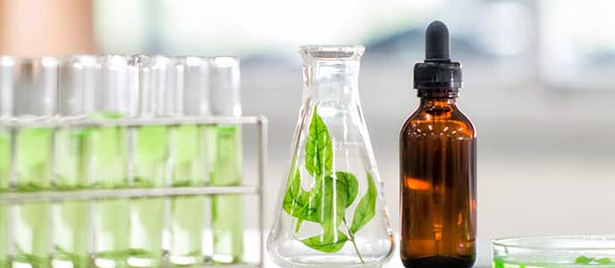 Test tubes, leaf and dropper