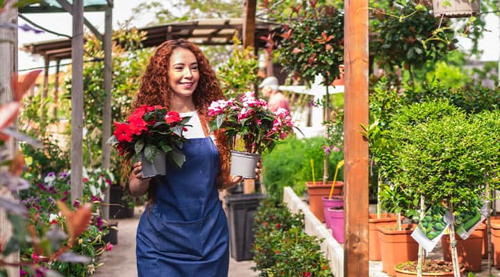 Bee propolis helps with the frequency of respiratory immune challenges