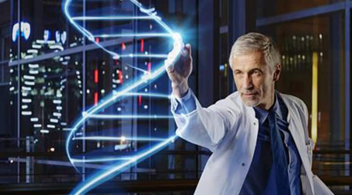 Scarlet beebalm extract supports two key biomarkers of aging