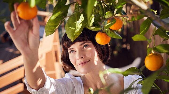 Can vitamin C increase your gray matter?