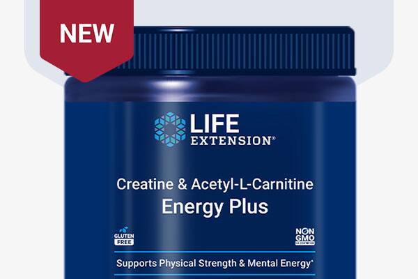 Creatine & Acetyl-L-Carnitine Energy Plus