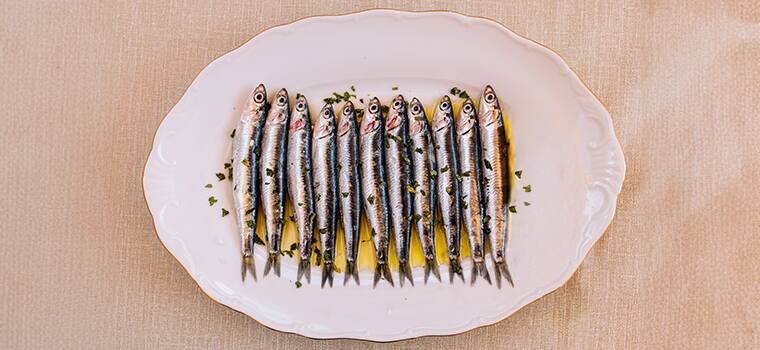sardines on a plate