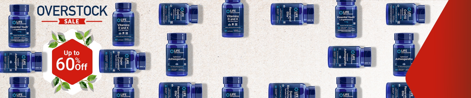 Overstock Sale. Up to 60% off! 