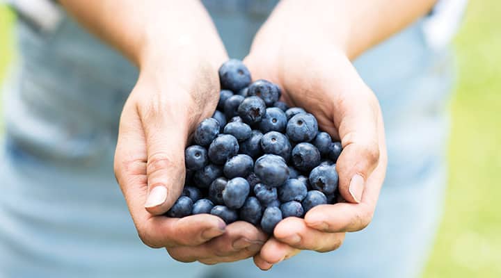 Blueberries improved cardiovascular health