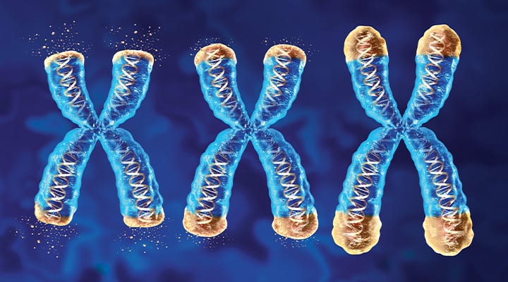 Botanical extract improved several aging biomarkers