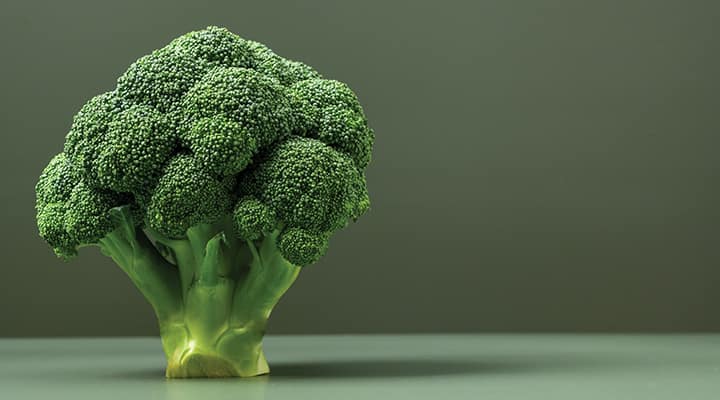 Sulforaphane, a compound found in broccoli, was shown in clinical studies to improve multiple aspects of cognitive function