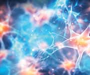 Neurotransmitters are chemical messengers that allow neurons to communicate with one another and with other cells throughout the body.