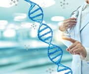 Telomeres help protect our genetic material.