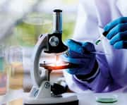 The interior of the stomach is acidic, which helps it digest food and kill harmful bacteria.