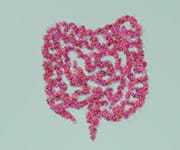 Zinc-carnosine has been clinically shown to aid in the healing of peptic ulcers and combat H. pylori infection by inhibiting the bacteria's survival.