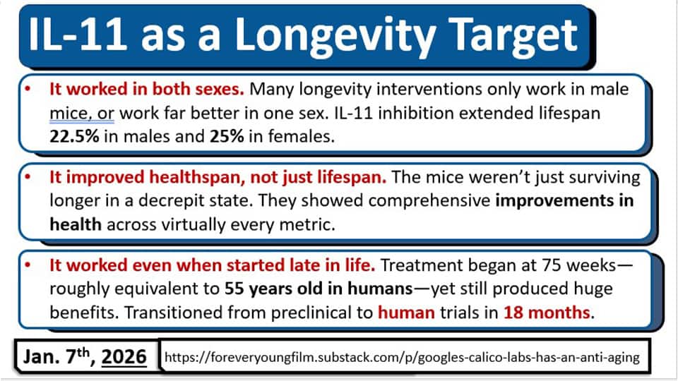 Treatment begins at 75 weeks, roughly equivilent to 55 years old in humans.