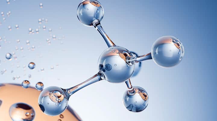 L-ergothioneine is an  amino acid associated with longevity and cognitive health