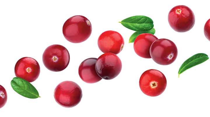 Painful and irritating urinary tract infections are 
common in women