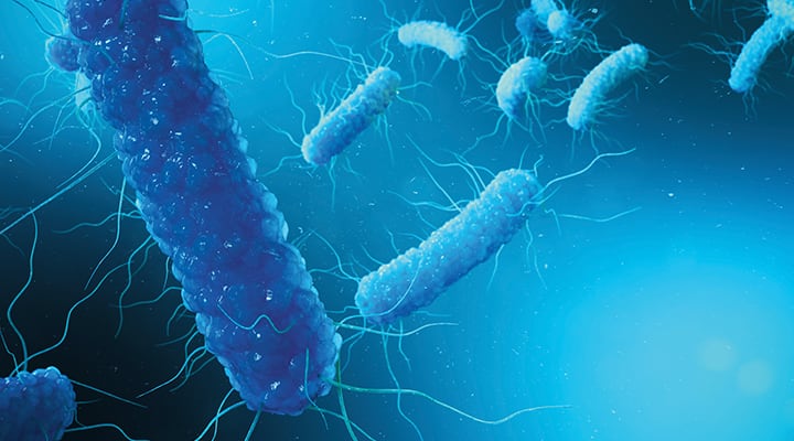 Early evidence suggests that carefully selected probiotics, and possibly postbiotics, may help shift the aging gut microbiome toward a more beneficial profile