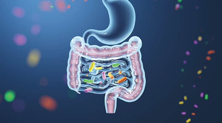 Lactobacillus paracasei D3-5 is a heat-treated,
non-living postbiotic that has shown promising benefits