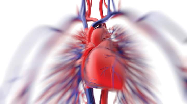 As we age, the heart finds it harder to pump strongly when we exert ourselves or feel stressed