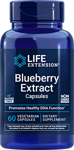 Blueberry Extract Capsules, 60 vegetarian capsules