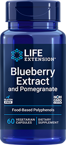 Blueberry Extract and Pomegranate, 60 vegetarian capsules