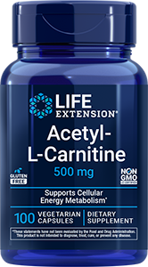 Acetyl-L-Carnitine, 500 mg, 100 vegetarian capsules