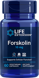 forskolin and l carnitine Creatine vs L-Carnitine: A Detailed Comparison main image 1