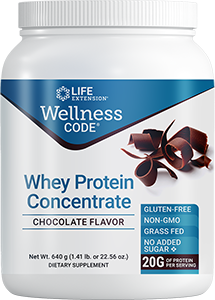 Wellness Code® Whey Protein Concentrate (Chocolate)